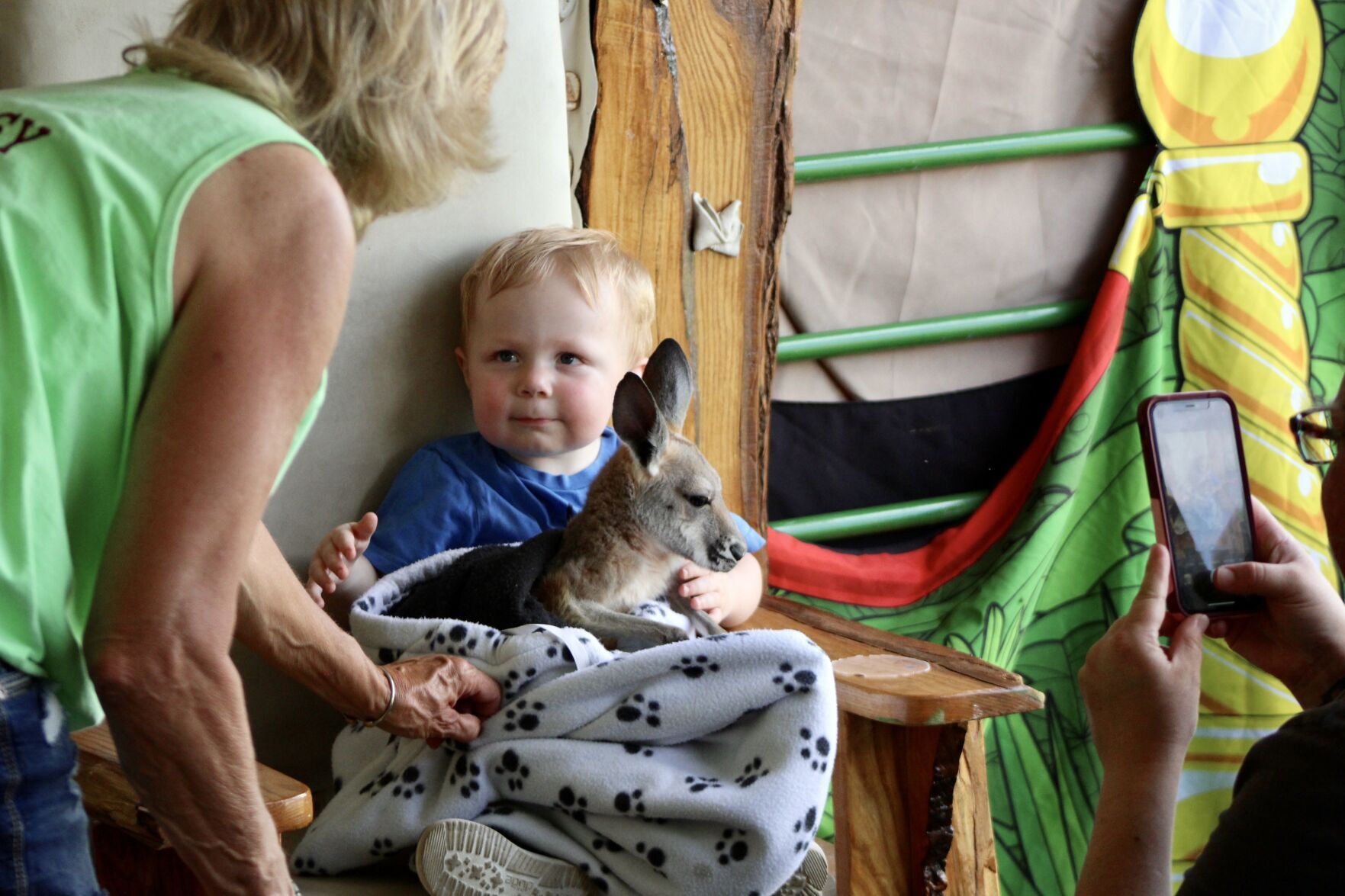 baby kangaroo